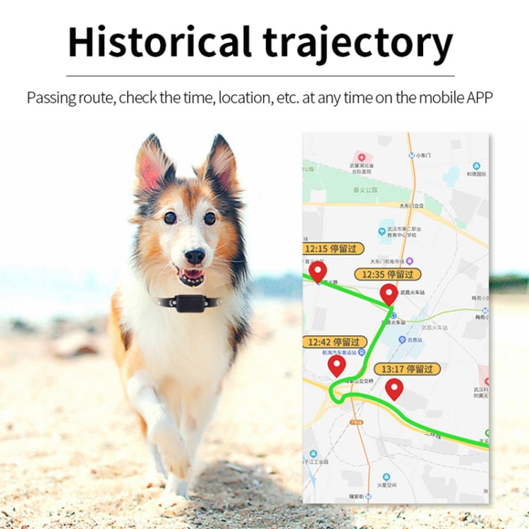 جهاز تتبع الحيوانات الأليفة P03 2G GPS مقاوم للماء مع GPS + AGPS + WiFi + LBS، P03