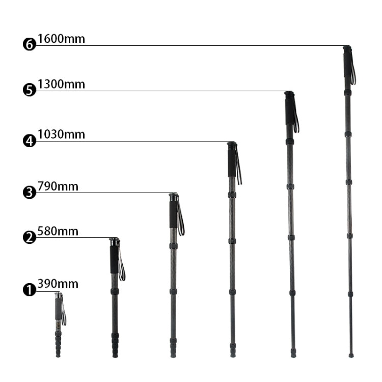 BEXIN P306C Portable Travel Outdoor DSLR Camera Carbon Fiber Monopod Holder