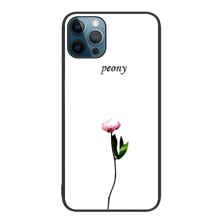 Colorful Painted Glass Phone Case, For iPhone 13, For iPhone 12 Pro Max, For iPhone 12 / 12 Pro