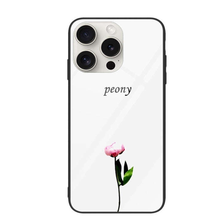 Colorful Painted Glass Phone Case, For iPhone 16 Pro Max, For iPhone 16 Pro, For iPhone 16 Plus