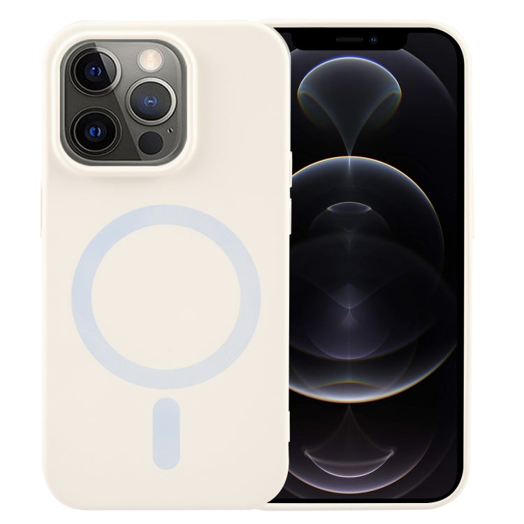 MagSafe Liquid Silicone Phone Case, For iPhone 13, For iPhone 12, For iPhone 12 Pro Max, For iPhone 12 Pro, For iPhone 11 Pro Max, For iPhone 11, For iPhone 11 Pro