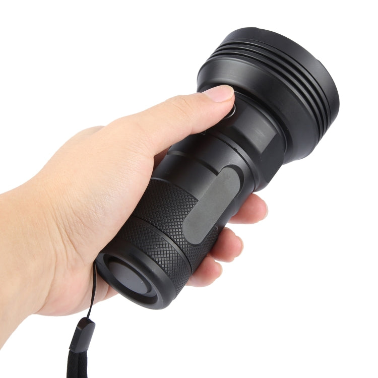 W5202-1 31 LEDs 5500LM High Brightness Rechargeable Flashlight, W5202-1