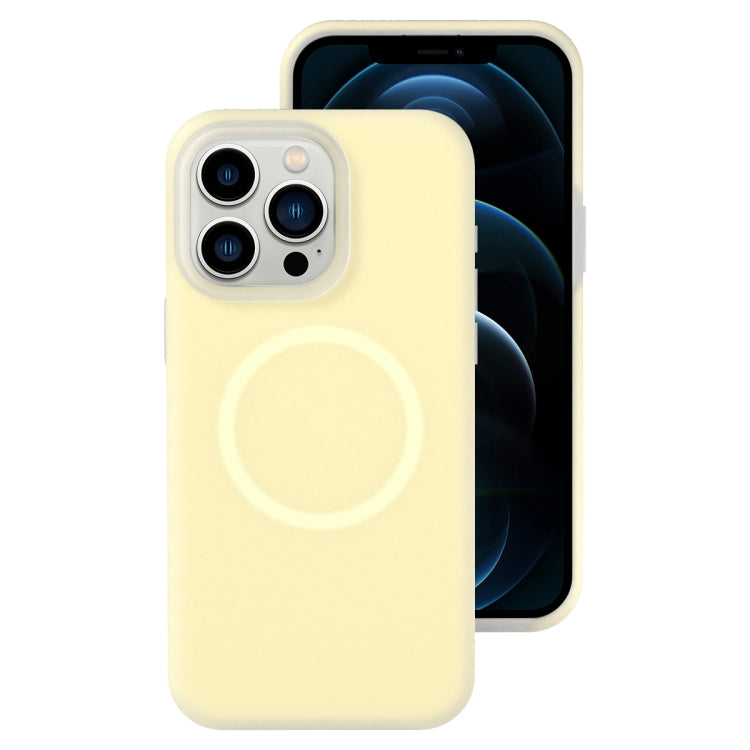 جراب هاتف مغناطيسي من السيليكون السائل الهلامي، لهاتف iPhone 12 Pro Max، لهاتف iPhone 12 Pro، لهاتف iPhone 11 Pro Max، لهاتف iPhone 11