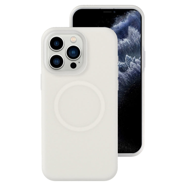 جراب هاتف مغناطيسي من السيليكون السائل من جيلي ماج سيف، مناسب لهاتف iPhone 11 Pro