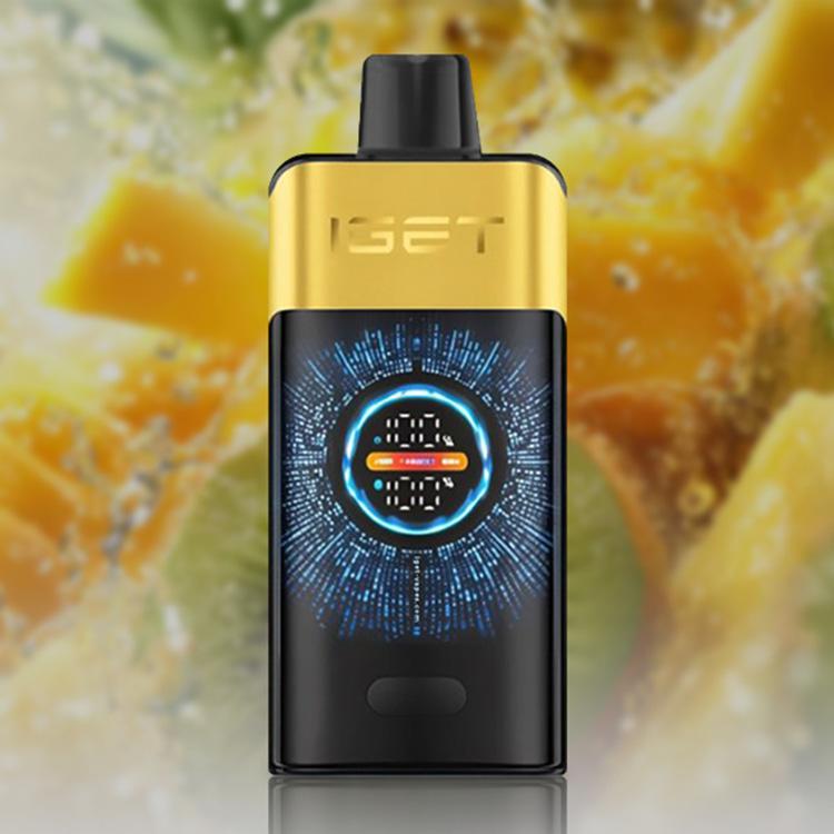 IGET One 12000 Puffs E-Cigarette