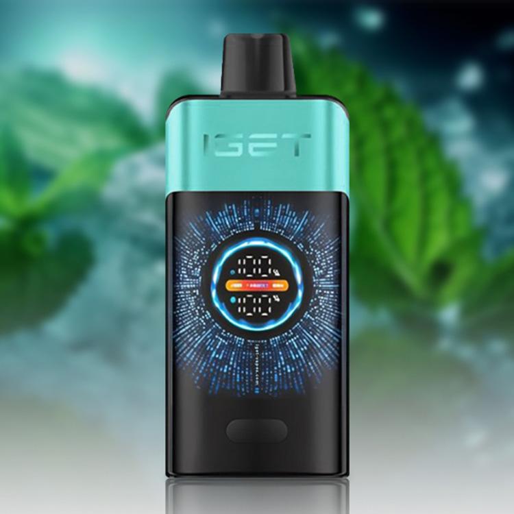 IGET One 12000 Puffs E-Cigarette