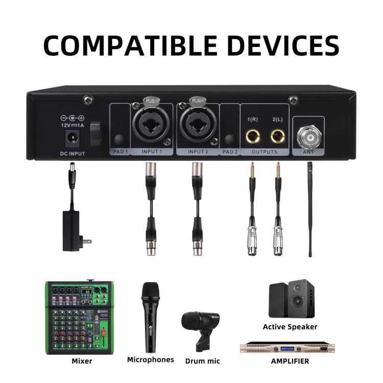 DEBRA SW-1 Professional Stage Wireless Stereo Monitor System with One Receivers