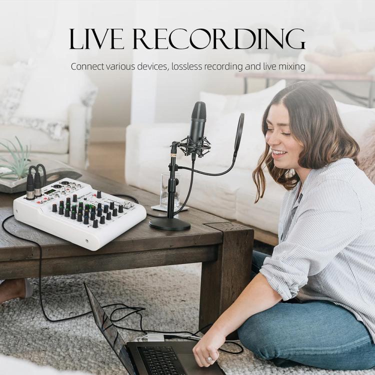 DEBRA PRMX-6 4-Channels Audio Mixer DSP Reverb for Live Recording