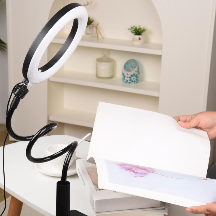 10 inch Striped Selfie Live Streaming Photography Lazy Stand LED Ring Fill Light Set