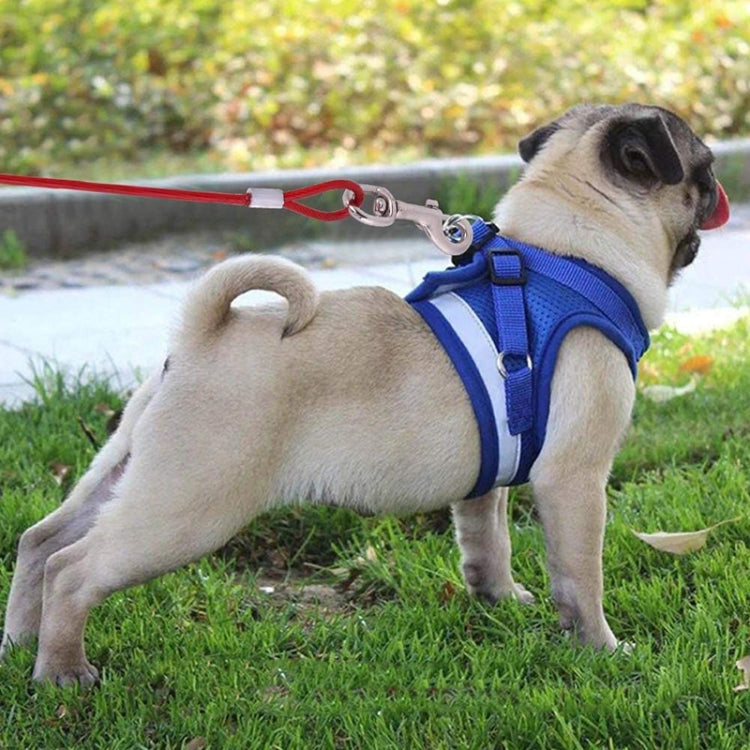 Double-end Steel Wire Rope Pet Dogs 2 in 1 Traction Rope Pet Walking Leads With Handle, Length: 3m,Random Color Delivery, Length: 3m