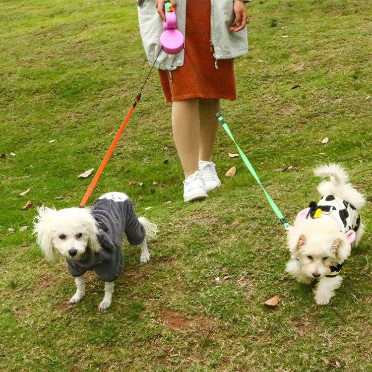 Two-headed Creative Automatic Retractable Pet Traction Rope