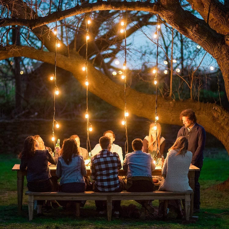 25 Bulbs LED Decorative Lamp for Garden, Engineering, Bar, Party, Wedding, AC 220V, EU Plug, G40 220V EU Plug
