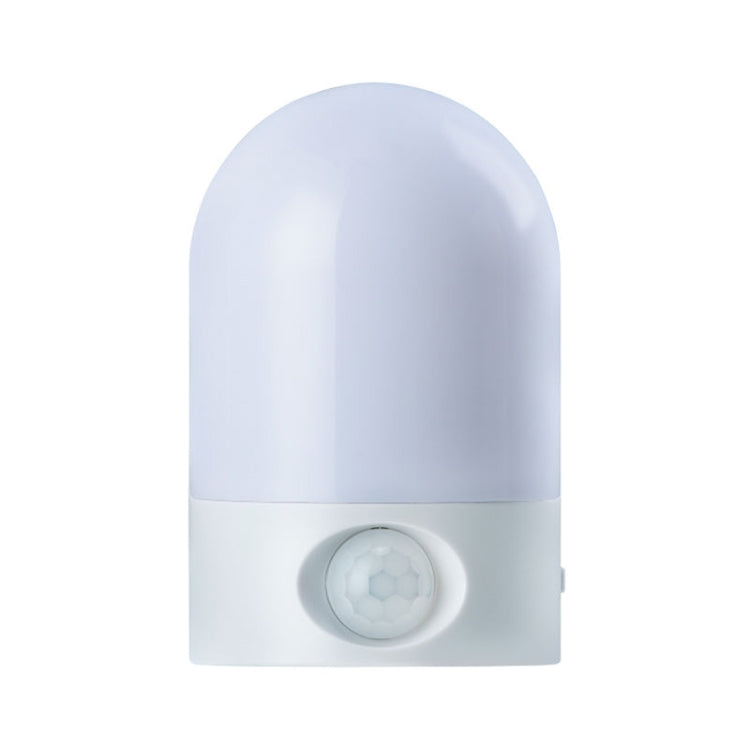 HB-6500 Hanging Style Intelligent Sensing Human Body Induction LED Light