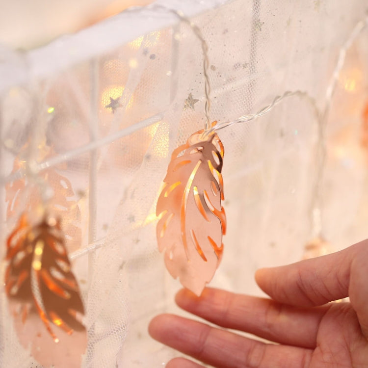 20 LEDs Teenage Style Warm Fairy Decorative Lamp for Christmas, Wedding, Bedroom, Gold Feather