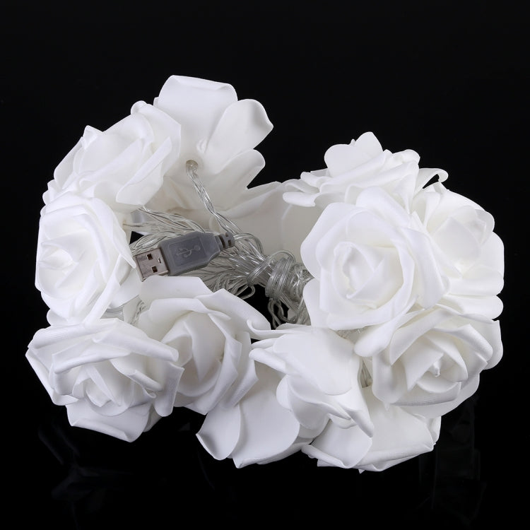 20 LEDs Teenage Style Warm Fairy Decorative Lamp for Christmas, Wedding, Bedroom, Rose