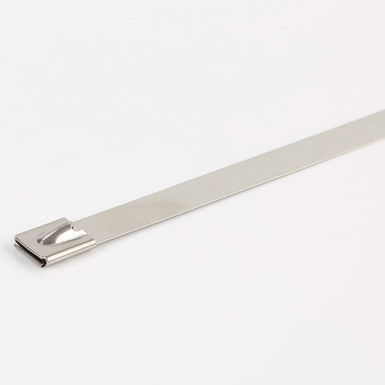 100 PCS 4.6x250mm Stainless Steel Metal Cable Ties Tie Zip Wrap Exhaust Heat Straps Induction Pipe, 4.6x250mm