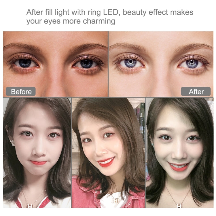 PULUZ 11.8 inch 30cm RGBW Light + 1.1m Tripod Mount Curved Surface Dimmable LED Dual Color Temperature LED Ring Selfie Vlogging Video Light Live Broadcast Kits with Cold Shoe Tripod Ball Head & Phone Clamp & Remote Control