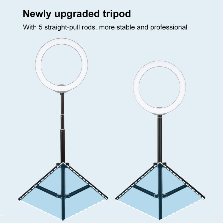 PULUZ 1.65m Height Tripod Mount Holder for Vlogging Video Light Live Broadcast Kits