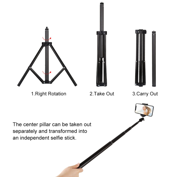PULUZ 1.65m Height Tripod Mount Holder for Vlogging Video Light Live Broadcast Kits