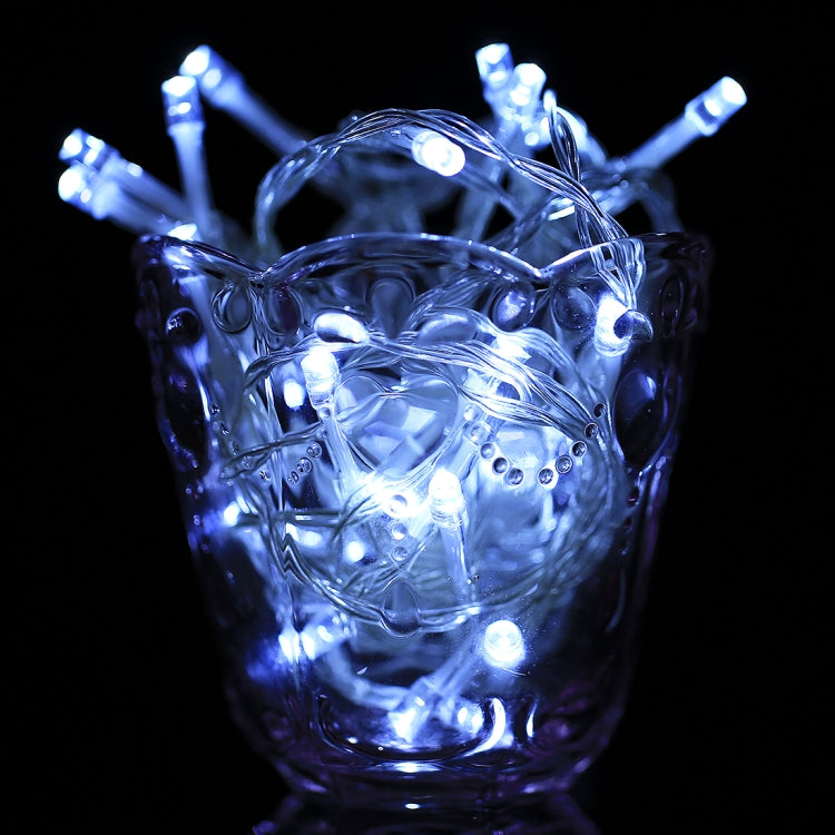 For Christmas Party, 20 LED 2-Mode Flash, Battery Powered, 2m White Light, 2m Warm White