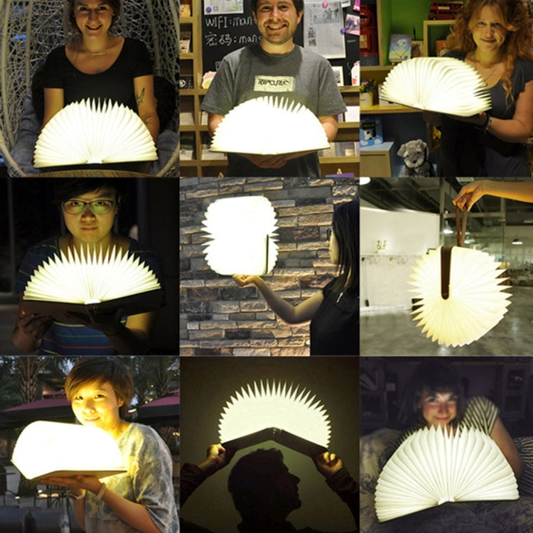 FS-LED01 500 lumens