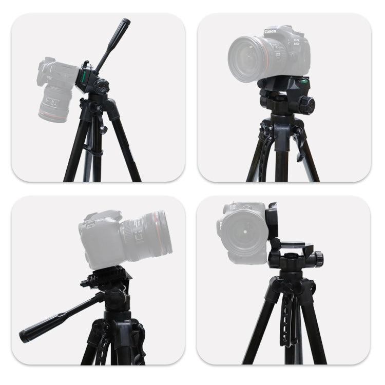 حامل ثلاثي القوائم L-3600 Live مزود بحامل ثلاثي الأبعاد مع لوحة تحرير سريعة قابلة للفصل وتعديل الارتفاع من 62 إلى 170 سم لكاميرا SLR وجهاز عرض Live Light (أسود)، L-3600