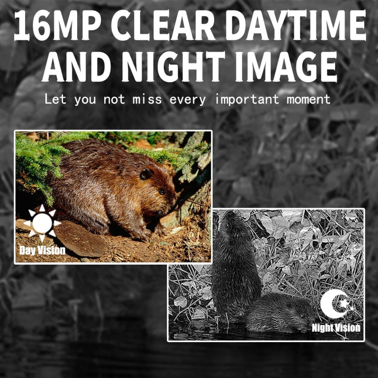 PR300 Pro Outdoor Night Vision Hunting Tracking Camera 16MP Motion Activated