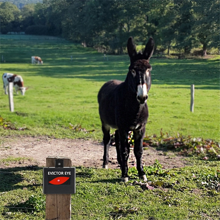 2 Pcs/Pack Solar Repeller Ranch Farm Wild Hawkeye Animal Repeller, Solar Repeller