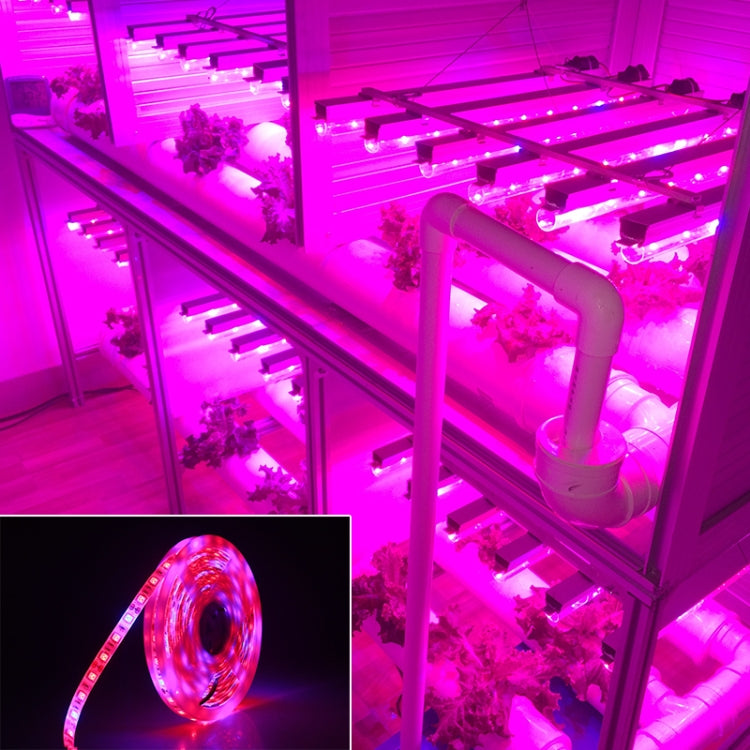 شريط إضاءة LED كامل الطيف SMD 5050 بطول 5 أمتار و300 مصباح LED، مناسب للزراعة المائية في البيوت الزجاجية، مقاوم للماء