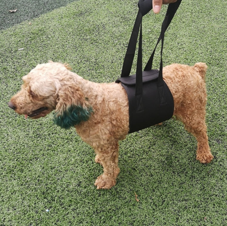 HCPET F1905 Disabled Dogs Assistive Belts Elderly Dogs Walking Assisted Leashes Pet Supplies, S, M, L