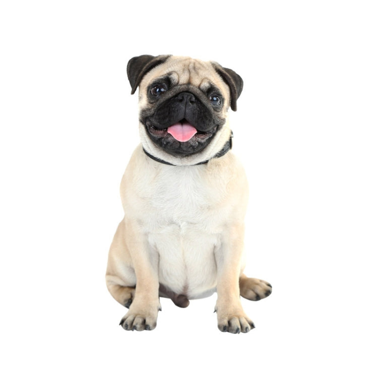 3D Simulation Dog Car Stickers Rain-Proof Sunscreen Car Sticker Scratch Shaving Decoration Stickers, Style 1 Small, Style 2 Small, Style 3 Small, Style 4 Small, Style 5 Small, Style 1 Large, Style 2 Large, Style 3 Large, Style 4 Large, Style 5 Large