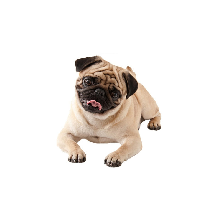 3D Simulation Dog Car Stickers Rain-Proof Sunscreen Car Sticker Scratch Shaving Decoration Stickers, Style 1 Small, Style 2 Small, Style 3 Small, Style 4 Small, Style 5 Small, Style 1 Large, Style 2 Large, Style 3 Large, Style 4 Large, Style 5 Large