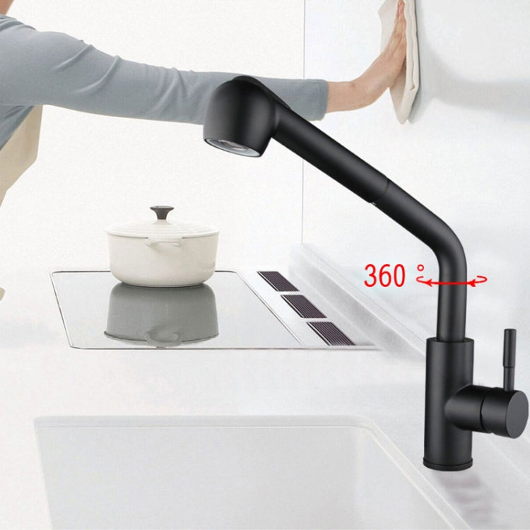 304 Stainless Steel Kitchen Sink Pull-out Faucet
