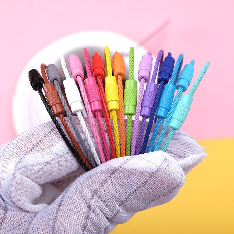 20 PCS Colorful Paint Steel Wire Rope Car Key Ring DIY Accessories, Car Key Ring