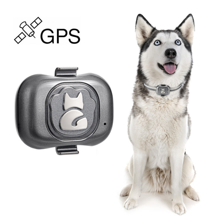 جهاز تتبع الحيوانات الأليفة G16 GPS IP67 مقاوم للماء طوق ذكي مضاد للضياع للكلاب والقطط، جهاز تتبع الحيوانات الأليفة G16 GPS