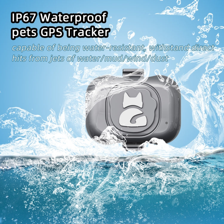 جهاز تتبع الحيوانات الأليفة G16 GPS IP67 مقاوم للماء طوق ذكي مضاد للضياع للكلاب والقطط، جهاز تتبع الحيوانات الأليفة G16 GPS