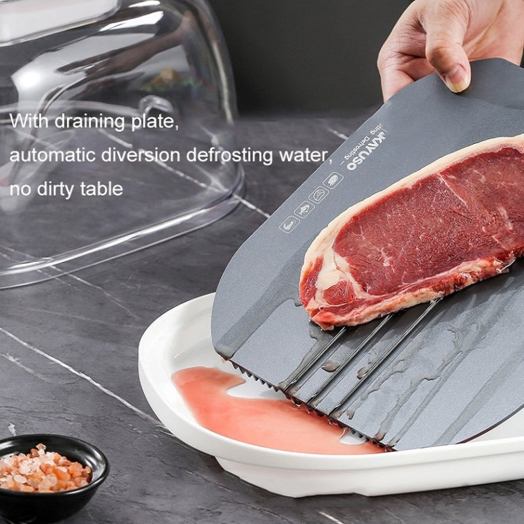 Frozen Food Quick Thaw Tray Thaw Plate, Quick Thaw Tray(Gray), Quick Thaw Tray(Golden)
