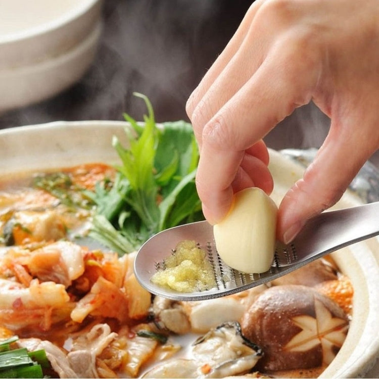 KS1001 Thicken Stainless Steel Ginger Garlic Vegetable Puree Grinder, Square, Spoon