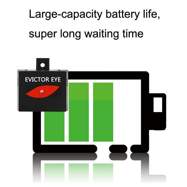 Solar Farm Wild Eagle Eye Animal Repeller