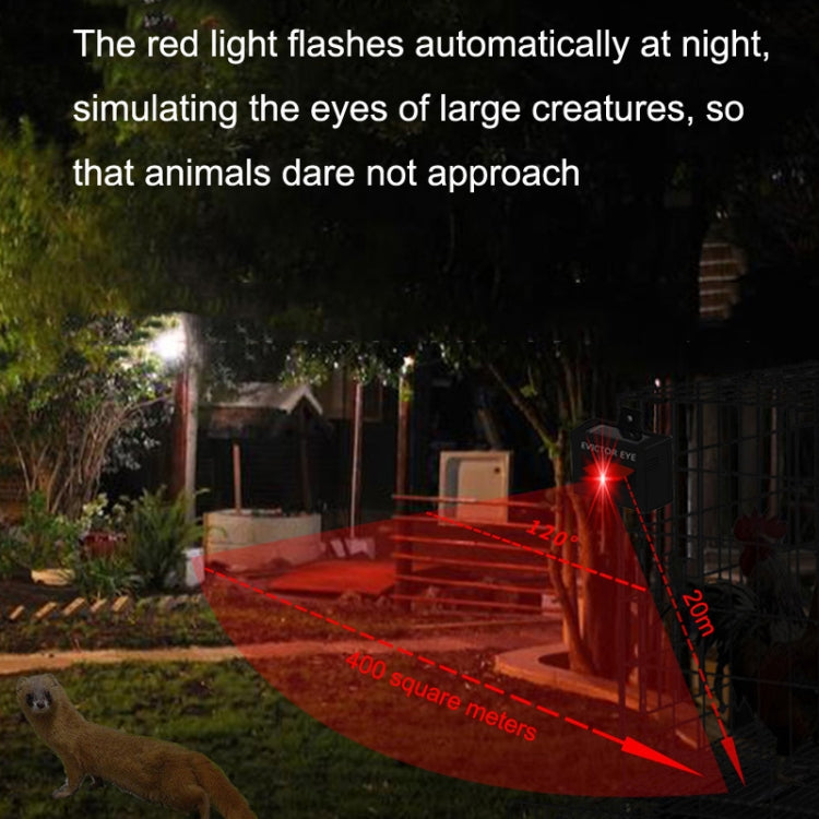 Solar Farm Wild Eagle Eye Animal Repeller