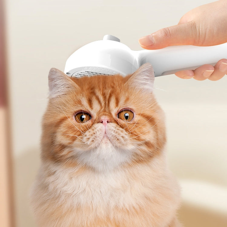 RK56 USB Charging Spray Pet Grooming Comb Cat and Dog Hair Removal Tool Pet Products, White, Pink, Green