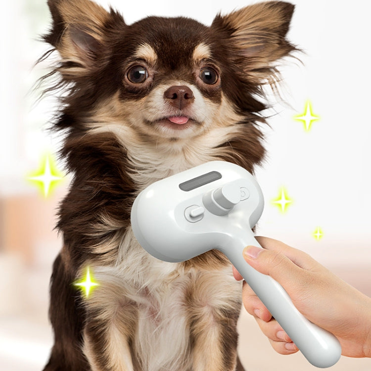 RK56 USB Charging Spray Pet Grooming Comb Cat and Dog Hair Removal Tool Pet Products, White, Pink, Green