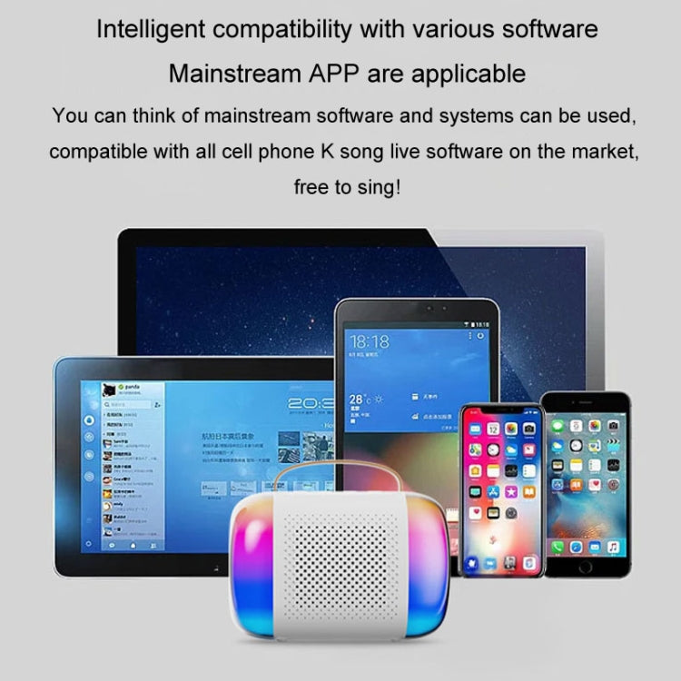 Portable Bluetooth Speaker Home And Outdoor Wireless Karaoke Audio