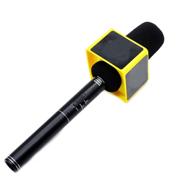 Interview Microphone Logo Flag Station