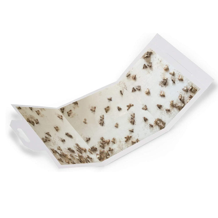 Moth Catcher Insect Trap Sticker, MYQ-C-002