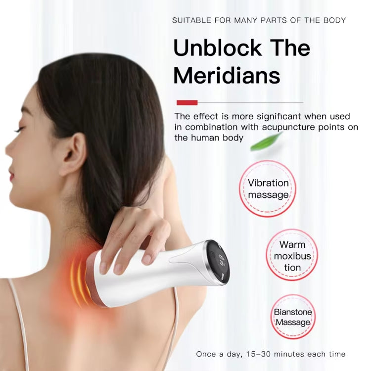 Acupuncture Stone Electric Hot Compress Vibrating Massager Whole Body Universal 9-speed Adjustable Gua Sha Apparatus, Red, Black