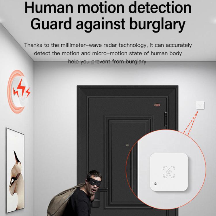 Human Presence Sensor Millimeter Wave Radar Detection Built-in Illuminance Sensor