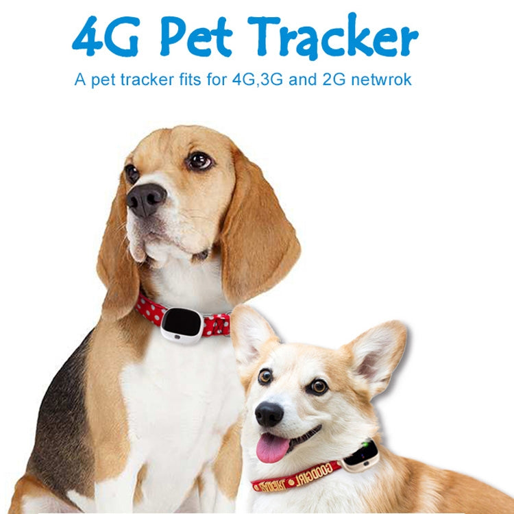 RF-V43 A Style IP67 Waterproof GPS + LBS + WiFi Pet Locator Pet Collar Tracking Device For Asia/Europe/Africa/Australia, RF-V43 A Style (White), RF-V43 A Style (Black), RF-V43 A Style (Gold)