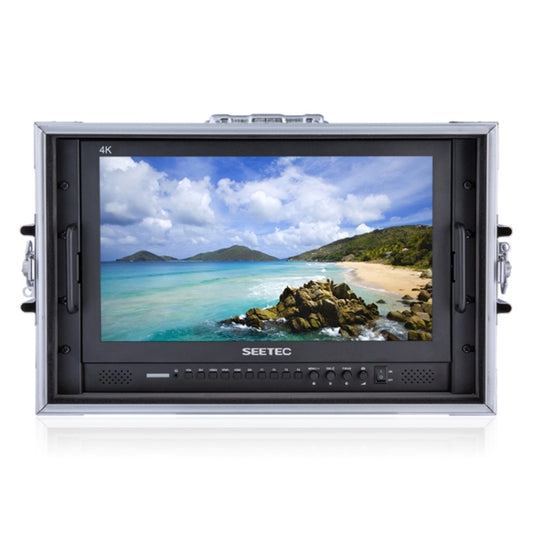 شاشة مراقبة ميدانية لكاميرا تصوير احترافية SEETEC P173-9HSD-CO، 17.3 بوصة، SDI / HDMI 4K، بدقة 1920x1080، P173-9HSD-CO