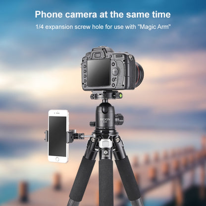 BEXIN RC294 Portable Collapsible Carbon Fiber Camera Tripod with K44 Panoramic BallHead